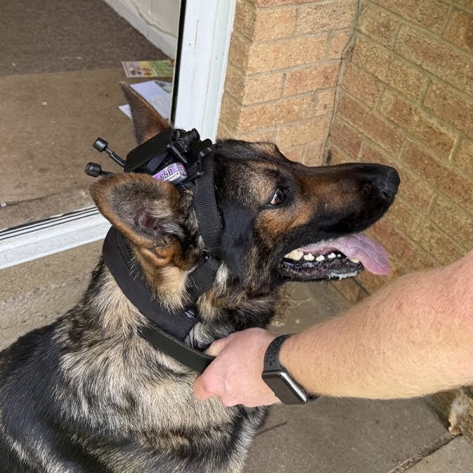 K9 dogcam